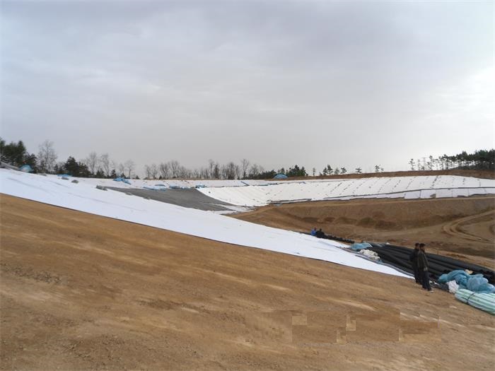 1-200Q5160640.jpg